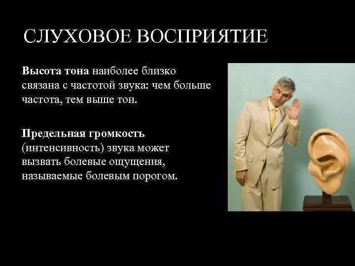 СЛУХОВОЕ ВОСПРИЯТИЕ Высота тона наиболее близко связана с частотой звука: чем больше частота, тем