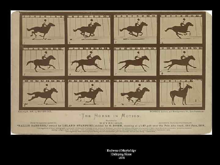 Eadweard Muybridge Galloping Horse 1878 