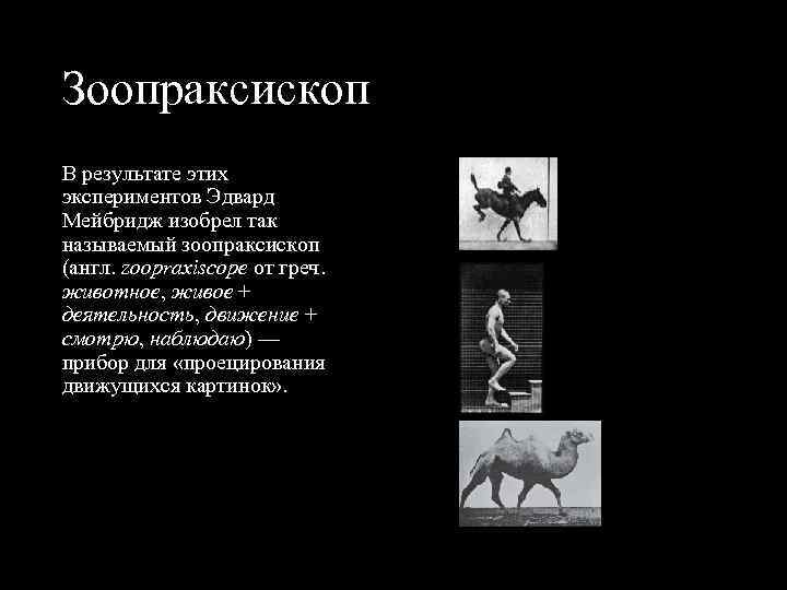 Зоопраксископ В результате этих экспериментов Эдвард Мейбридж изобрел так называемый зоопраксископ (англ. zoopraxіscope от