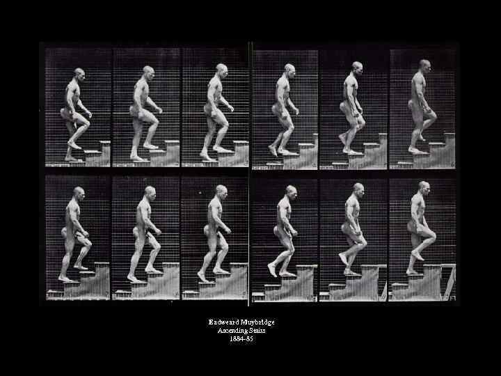 Eadweard Muybridge Ascending Stairs 1884 85 