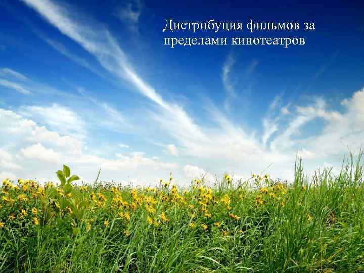 Дистрибуция фильмов за пределами кинотеатров 