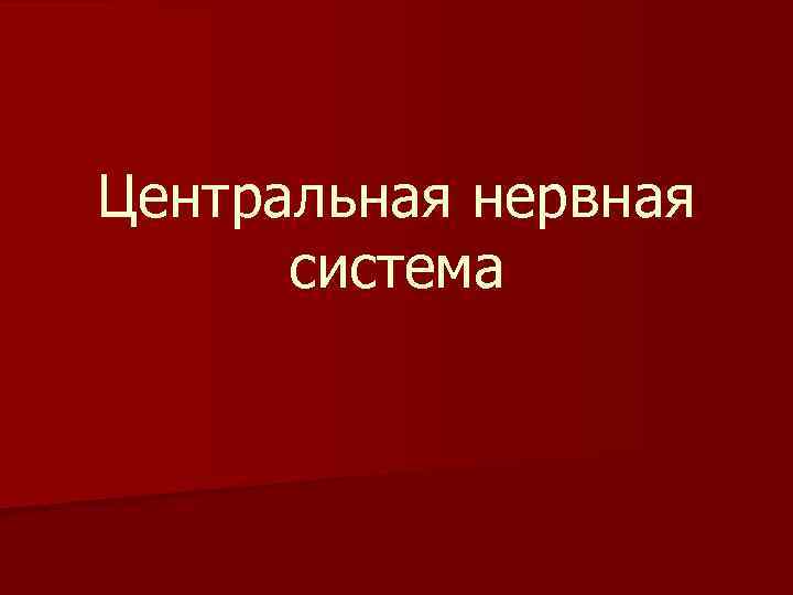 Центральная нервная система 