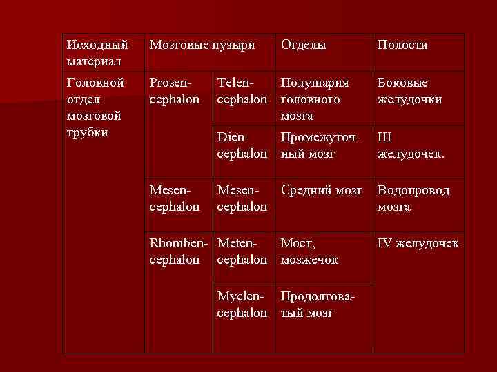 Исходный материал Мозговые пузыри Головной отдел мозговой трубки Prosen cephalon Отделы Полости Боковые желудочки