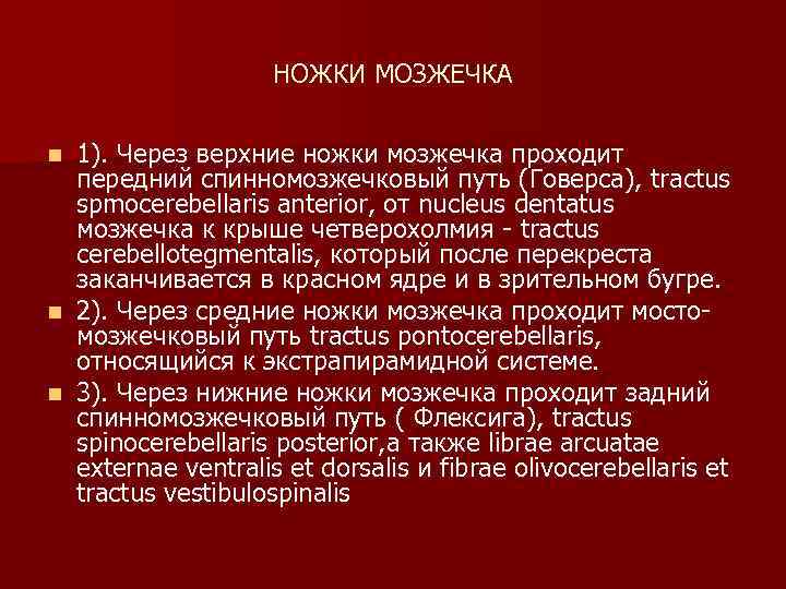 НОЖКИ МОЗЖЕЧКА 1). Через верхние ножки мозжечка проходит передний спинномозжечковый путь (Говерса), tractus spmocerebellaris