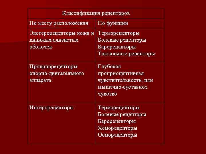 Классификация рецепторов По месту расположения По функции Экстерорецепторы кожи и Терморецепторы видимых слизистых Болевые