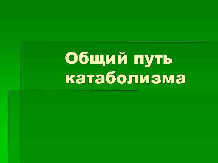 Общий путь катаболизма 