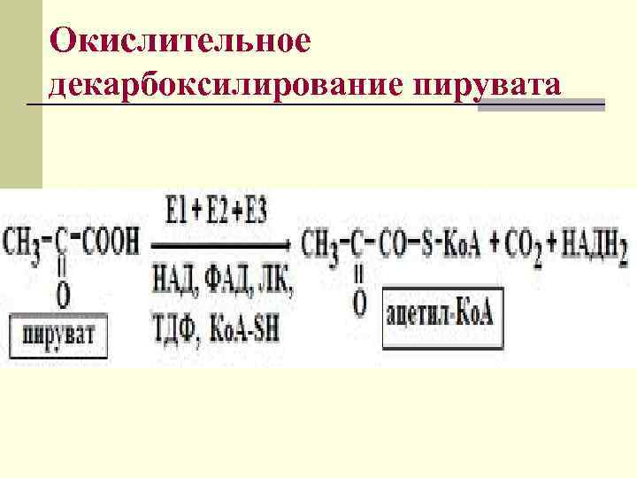 Окислительное декарбоксилирование пирувата 