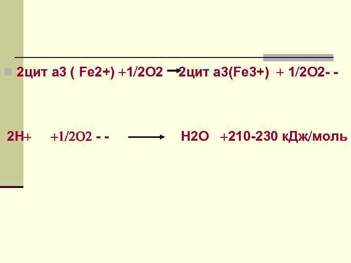 n 2 цит а 3 ( Fe 2+) 1 2 О 2 2 Н