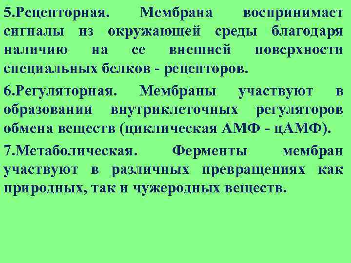 5. Рецепторная. Мембрана воспринимает сигналы из окружающей среды благодаря наличию на ее внешней поверхности