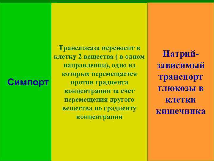 Симпорт Транслоказа переносит в клетку 2 вещества ( в одном направлении), одно из которых