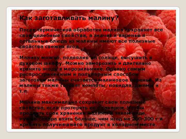 Как заготавливать малину? После термической обработки малина сохраняет все свои целебные свойства, а значит