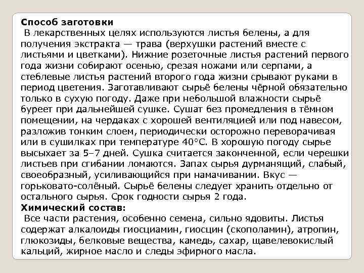 Способ заготовки В лекарственных целях используются листья белены, а для получения экстракта — трава