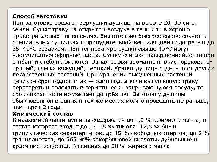 Способ заготовки При заготовке срезают верхушки душицы на высоте 20– 30 см от земли.