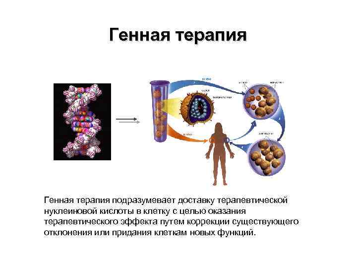 Генная терапия это