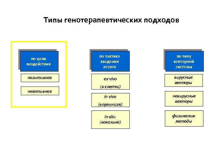 Типы генотерапевтических подходов по цели воздействия по тактике введения агента по типу векторной системы
