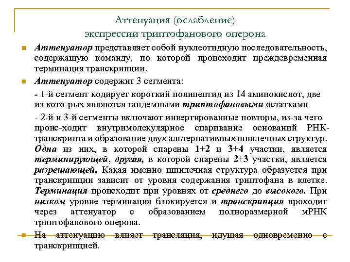 Аттенуация (ослабление) экспрессии триптофанового оперона n n n Аттенуатор представляет собой нуклеотидную последовательность, содержащую