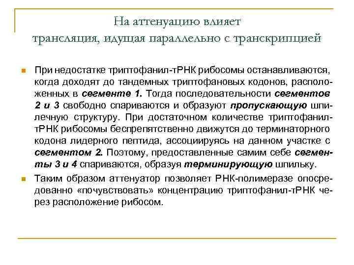 На аттенуацию влияет трансляция, идущая параллельно с транскрипцией n n При недостатке триптофанил-т. РНК