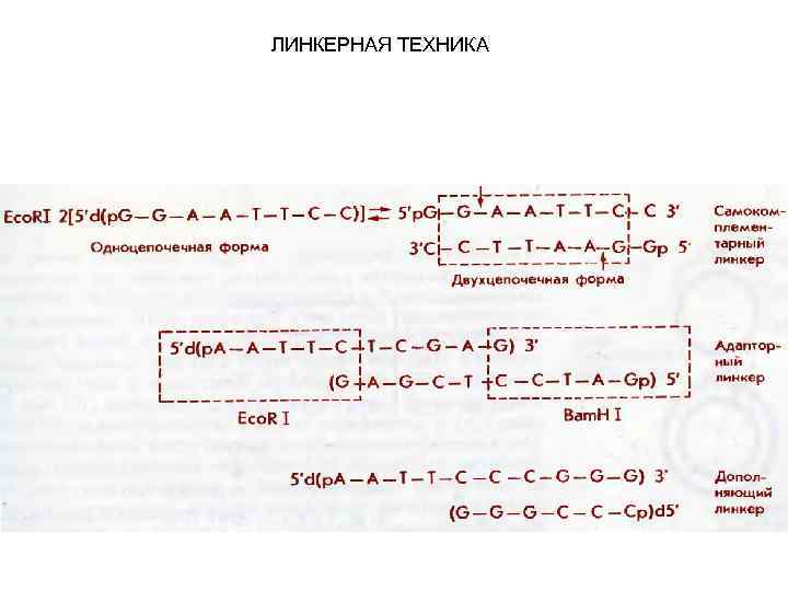 ЛИНКЕРНАЯ ТЕХНИКА 