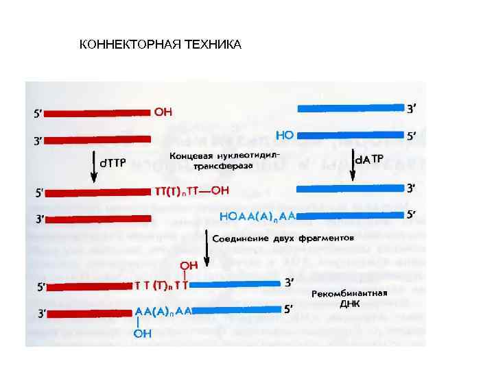 КОННЕКТОРНАЯ ТЕХНИКА 