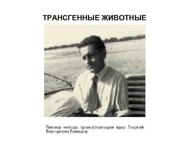 ТРАНСГЕННЫЕ ЖИВОТНЫЕ 