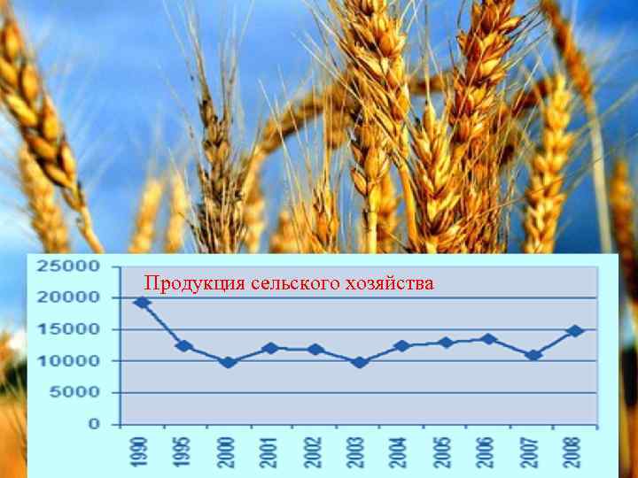  Продукция сельского хозяйства 