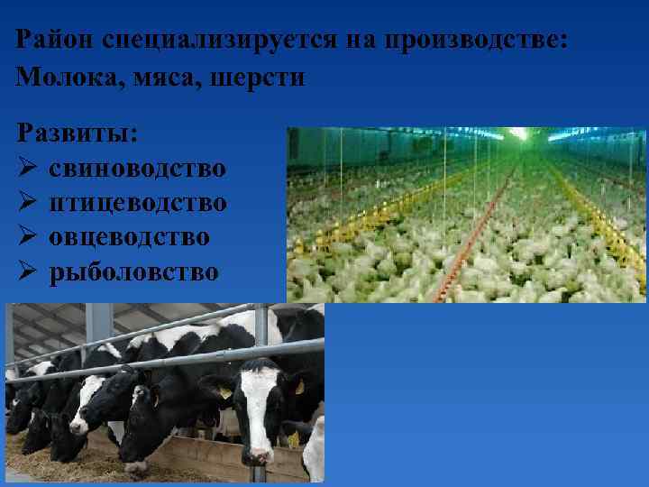 Район специализируется на производстве: Молока, мяса, шерсти Развиты: Ø свиноводство Ø птицеводство Ø овцеводство