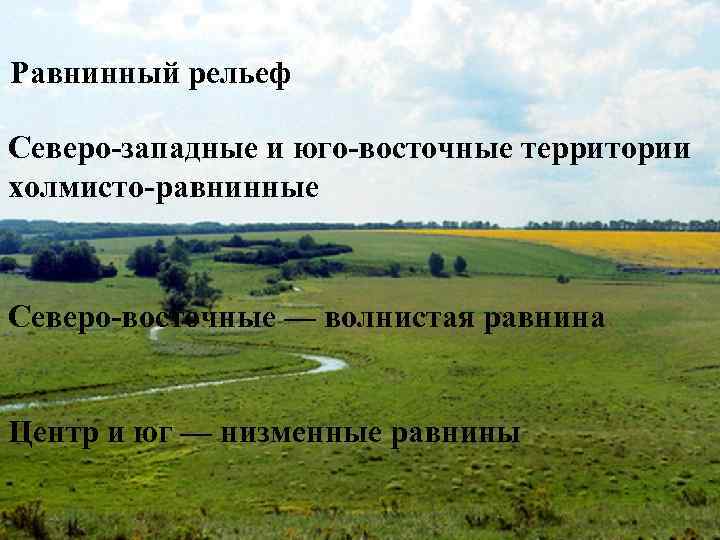 Равнинный рельеф Северо-западные и юго-восточные территории холмисто-равнинные Северо-восточные — волнистая равнина Центр и юг