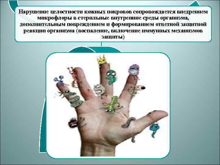 Нарушение целостности кожных покровов сопровождается внедрением микрофлоры в стерильные внутренние среды организма, дополнительным повреждением