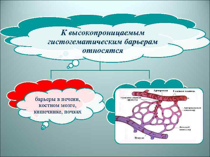 Один или несколько взаимосвязанных программных продуктов для определенного типа компьютера