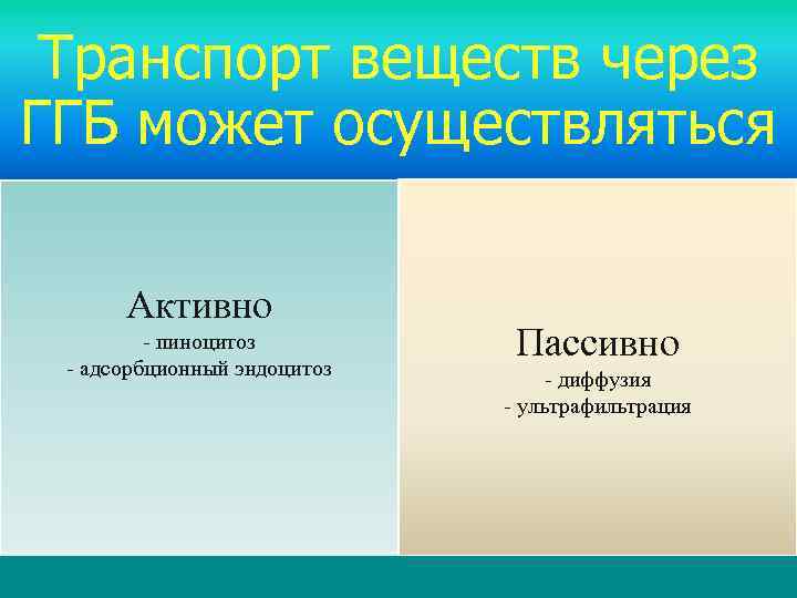 Транспорт веществ через ГГБ может осуществляться Активно - пиноцитоз - адсорбционный эндоцитоз Пассивно -