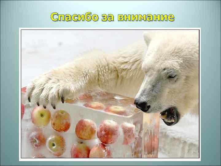 Спасибо за внимание 