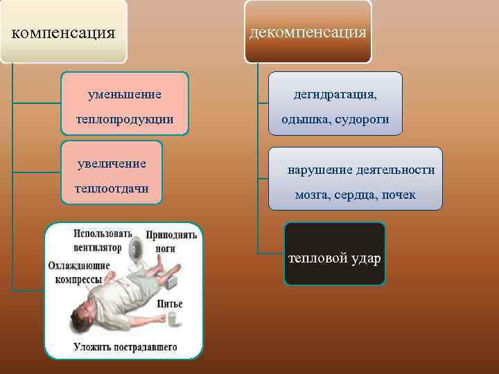 компенсация декомпенсация уменьшение дегидратация, теплопродукции одышка, судороги увеличение - нарушение деятельности теплоотдачи мозга, сердца,