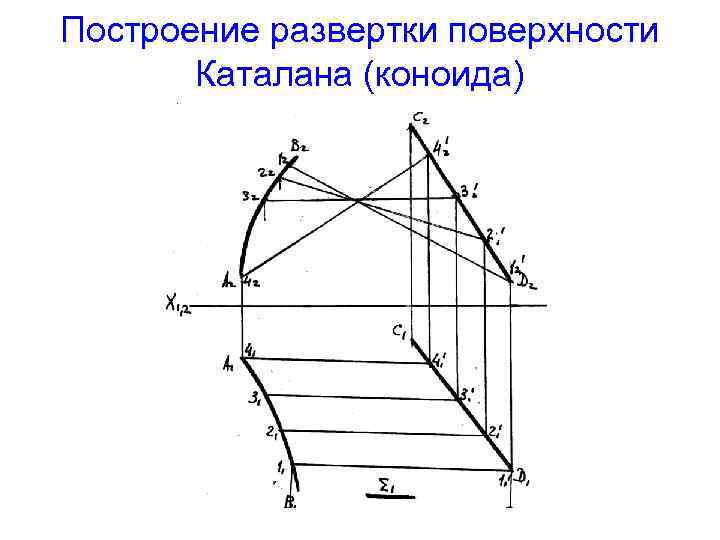 Построение развертки поверхности Каталана (коноида) 