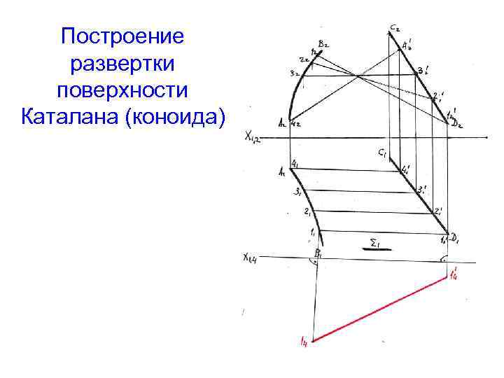 Построение развертки поверхности Каталана (коноида) 