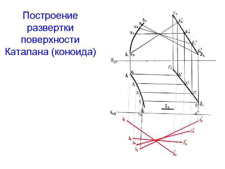 Построение развертки поверхности Каталана (коноида) 