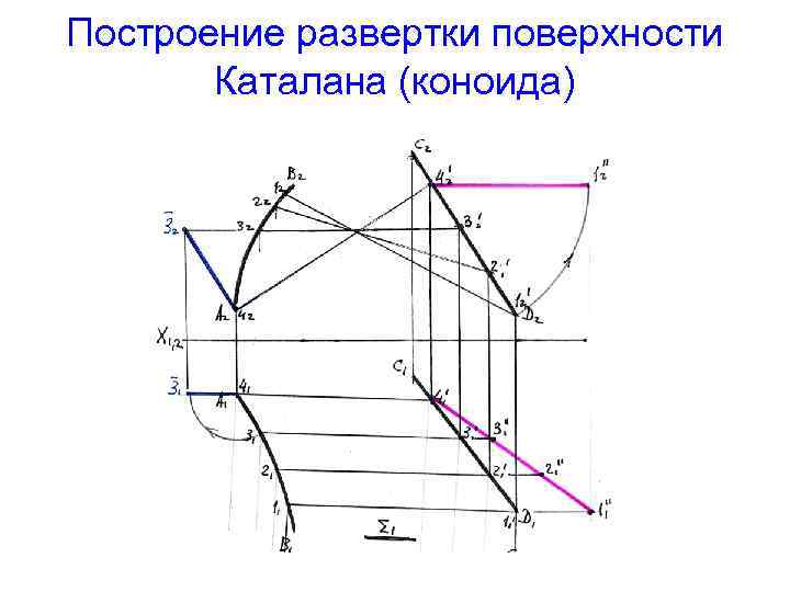 Построение развертки поверхности Каталана (коноида) 