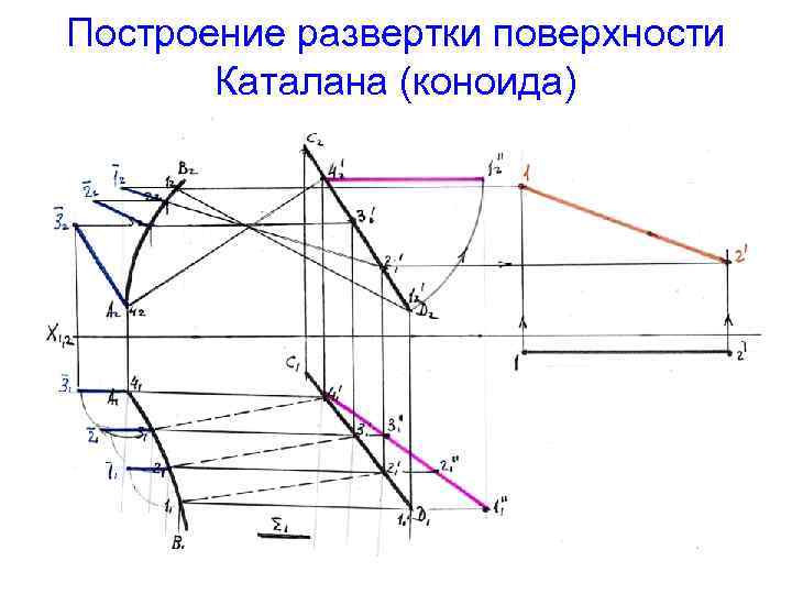 Построение развертки поверхности Каталана (коноида) 