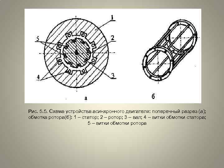 Рис. 5. 5. Схема устройства асинхронного двигателя: поперечный разрез (а); обмотка ротора(б): 1 –