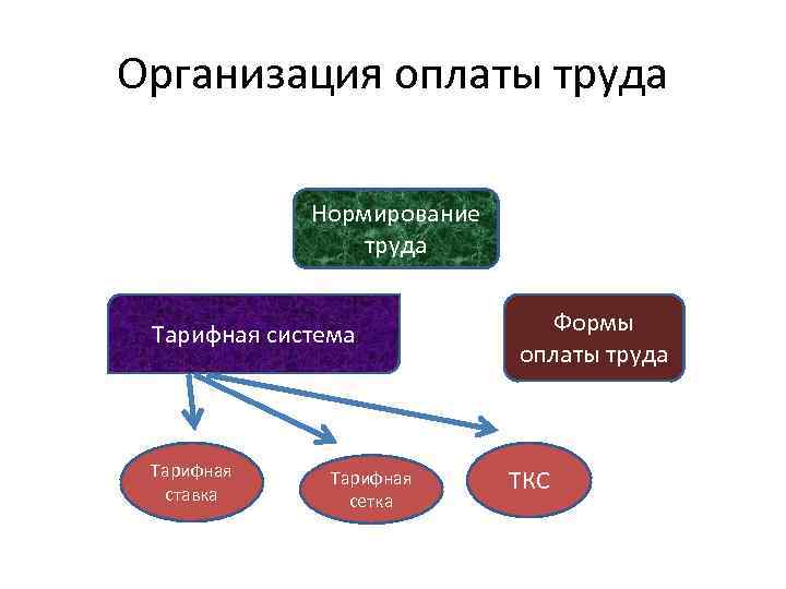 Организация оплаты труда Нормирование труда Тарифная система Тарифная ставка Тарифная сетка Формы оплаты труда