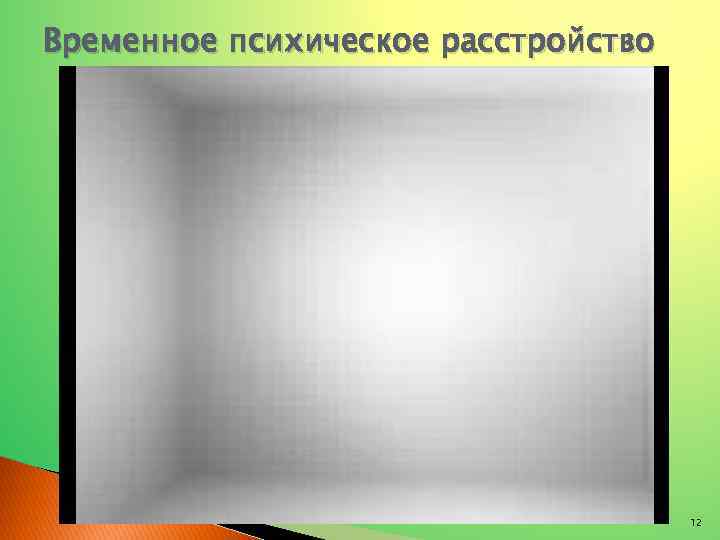 Временное психическое расстройство 12 