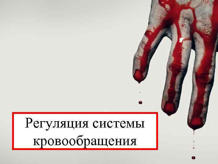 Регуляция системы кровообращения 