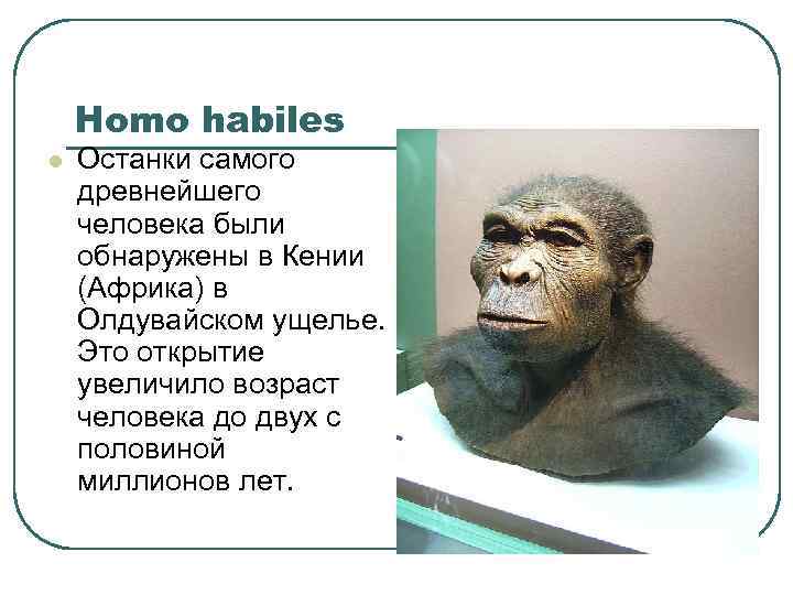 Homo habiles l Останки самого древнейшего человека были обнаружены в Кении (Африка) в Олдувайском