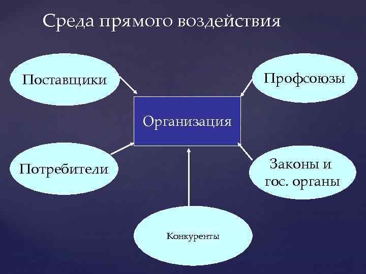 Среда прямого воздействия Профсоюзы Поставщики Организация Законы и гос. органы Потребители Конкуренты 