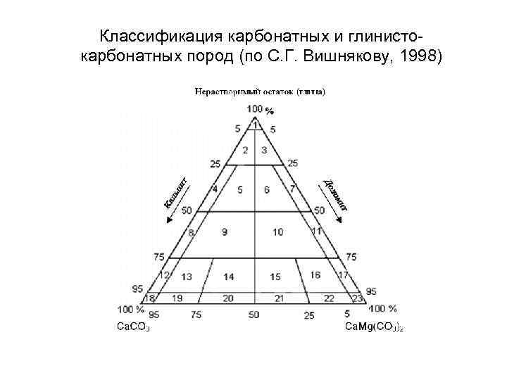 Классификация карбонатных и глинистокарбонатных пород (по С. Г. Вишнякову, 1998) 