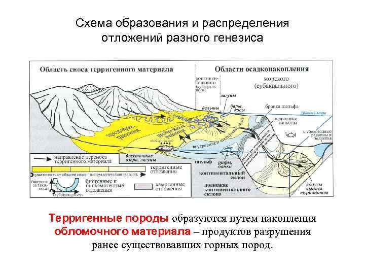 Схема образования и распределения отложений разного генезиса Терригенные породы образуются путем накопления обломочного материала