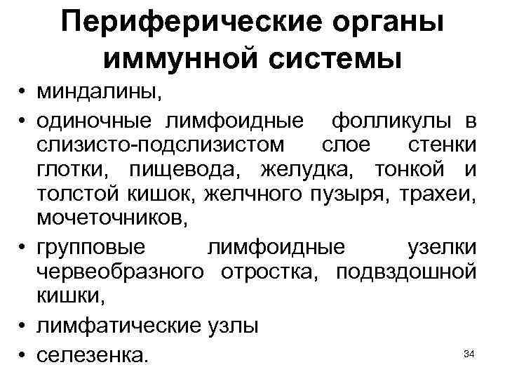 Периферические органы иммунной системы • миндалины, • одиночные лимфоидные фолликулы в слизисто-подслизистом слое стенки