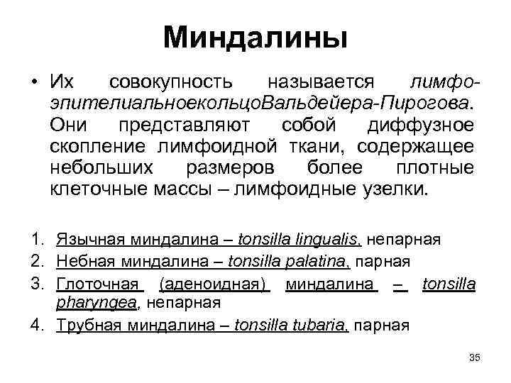 Миндалины • Их совокупность называется лимфоэпителиальноекольцо. Вальдейера-Пирогова. Они представляют собой диффузное скопление лимфоидной ткани,