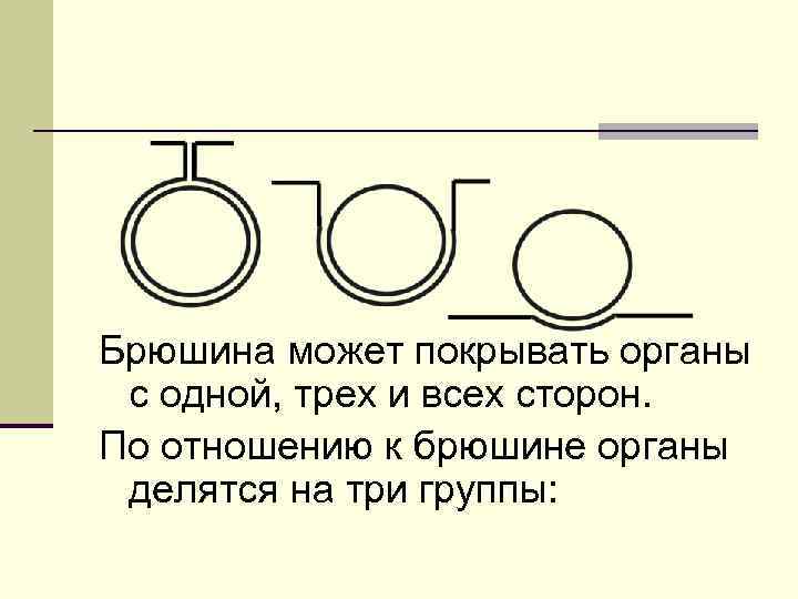 Брюшина может покрывать органы с одной, трех и всех сторон. По отношению к брюшине