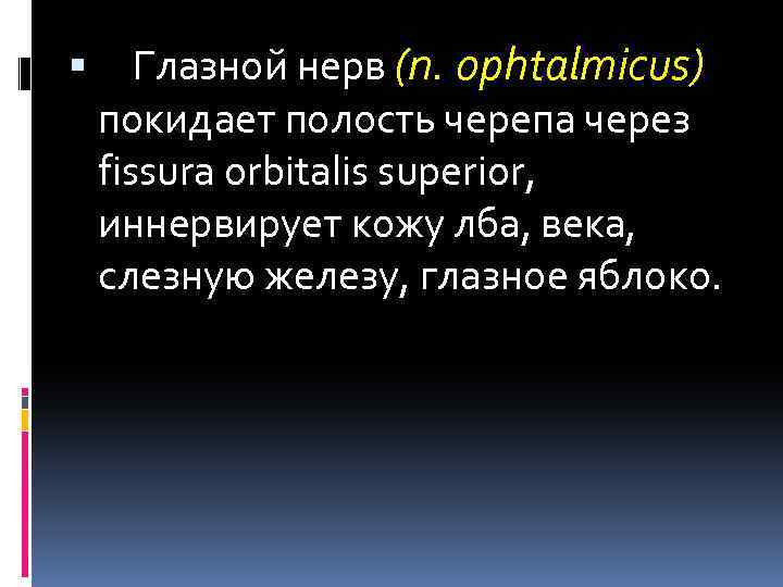  Глазной нерв (n. 0 phtalmicus) покидает полость черепа через fissura orbitalis superior, иннервирует