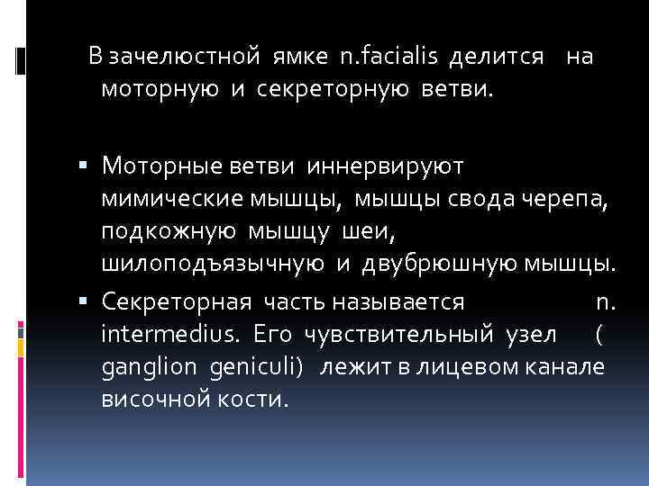 В зачелюстной ямке n. facialis делится на моторную и секреторную ветви. Моторные ветви иннервируют